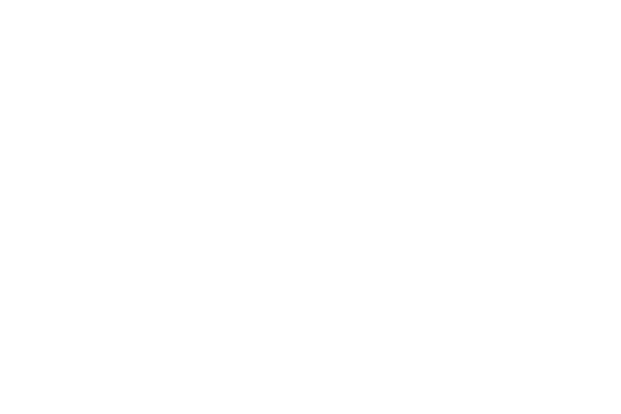 Livesystems (Logo)