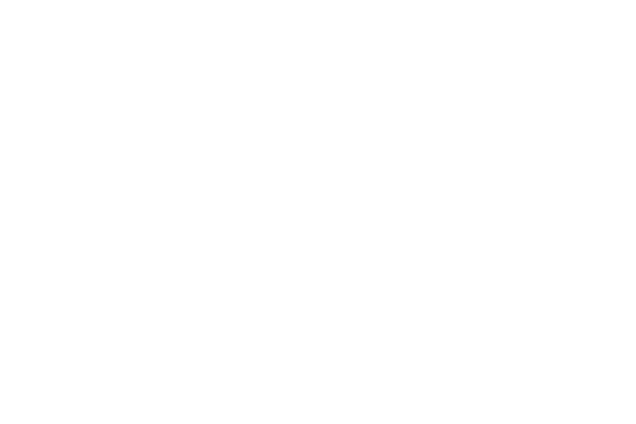 Swiss Post Advertising (Logo)